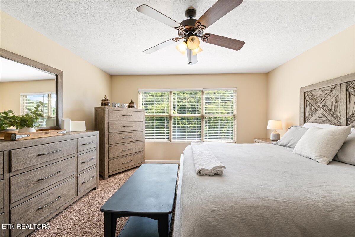 Norris Lake Real Estate - Image# 39