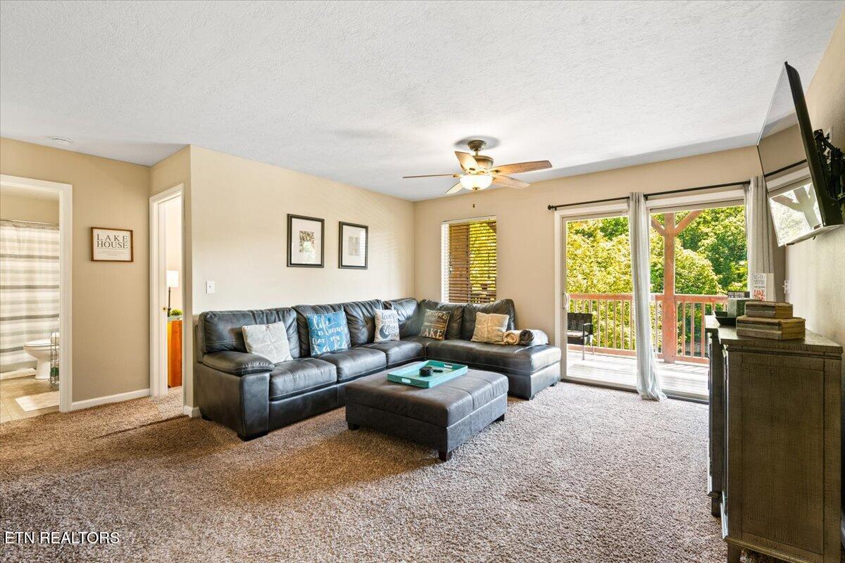 Norris Lake Real Estate - Image# 43