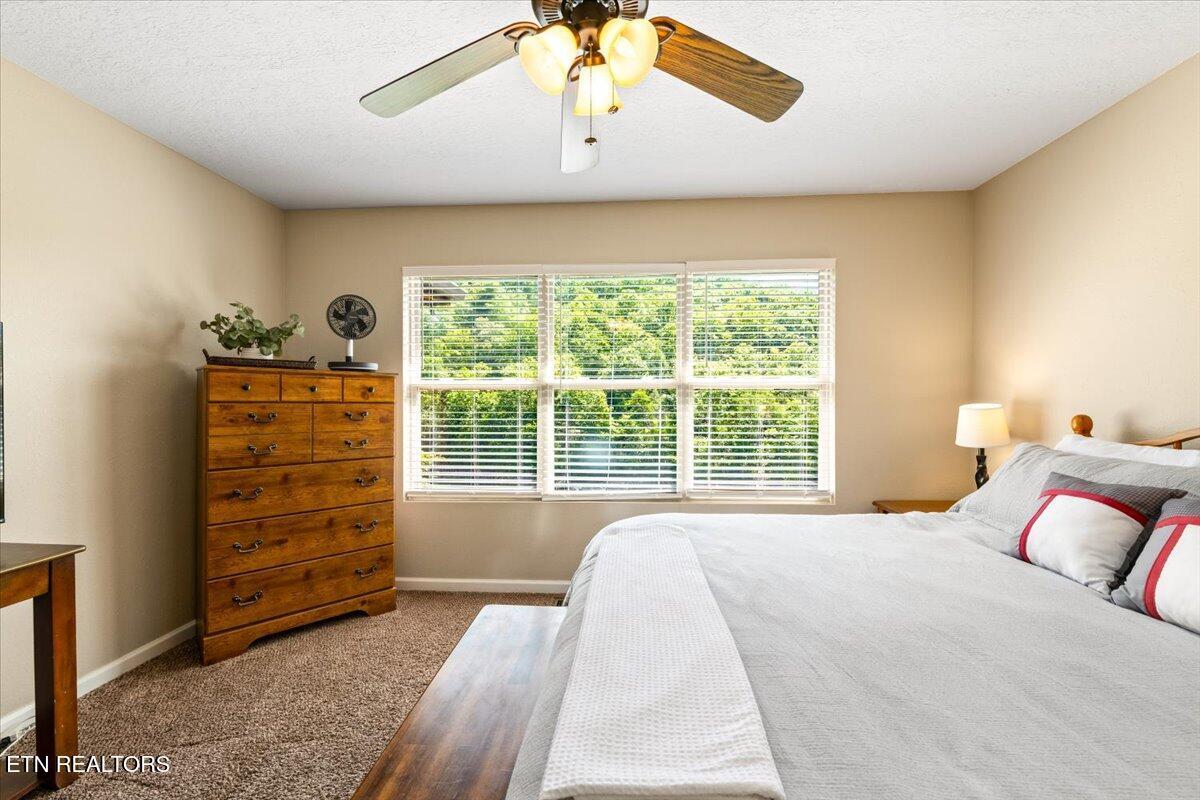 Norris Lake Real Estate - Image# 20