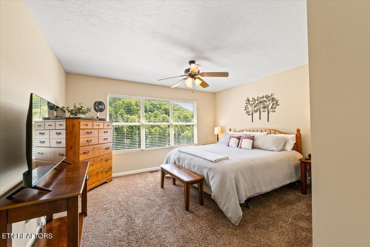 Norris Lake Real Estate - Image# 23