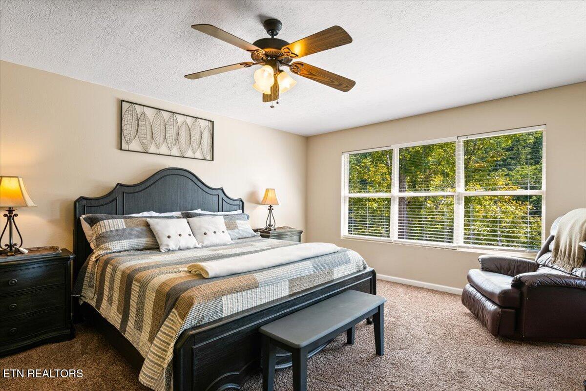 Norris Lake Real Estate - Image# 14