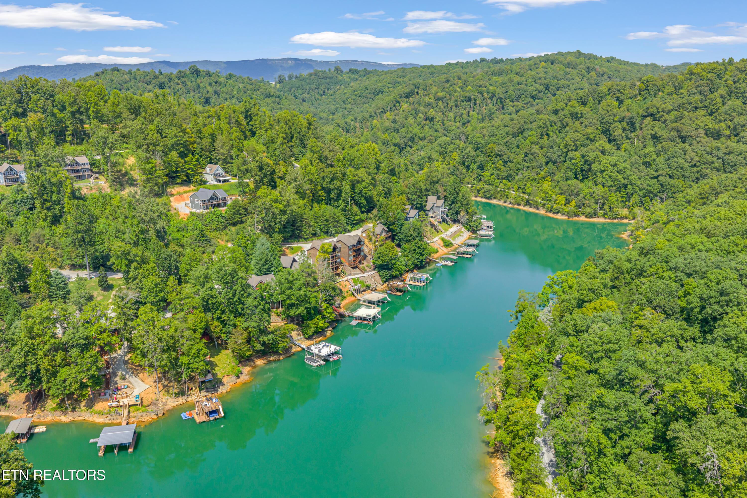 Norris Lake Real Estate - Image# 55