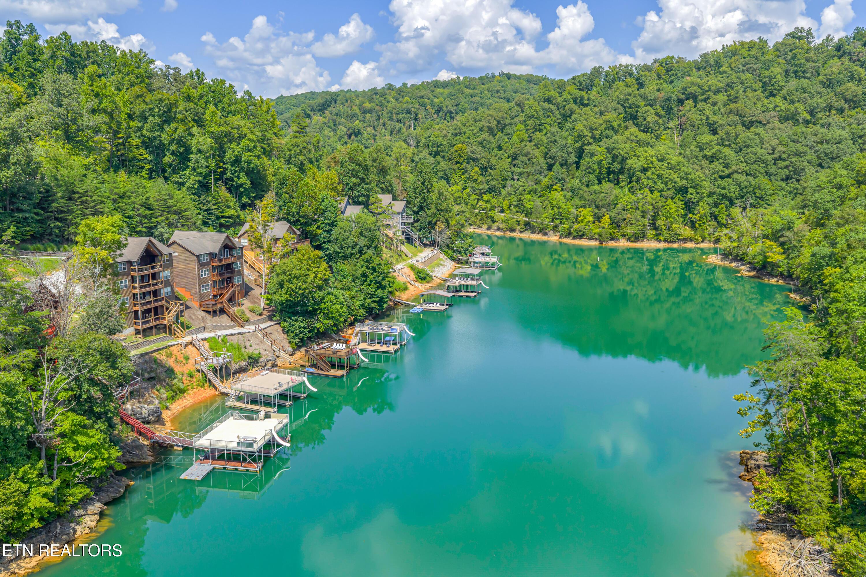 Norris Lake Real Estate - Image# 56