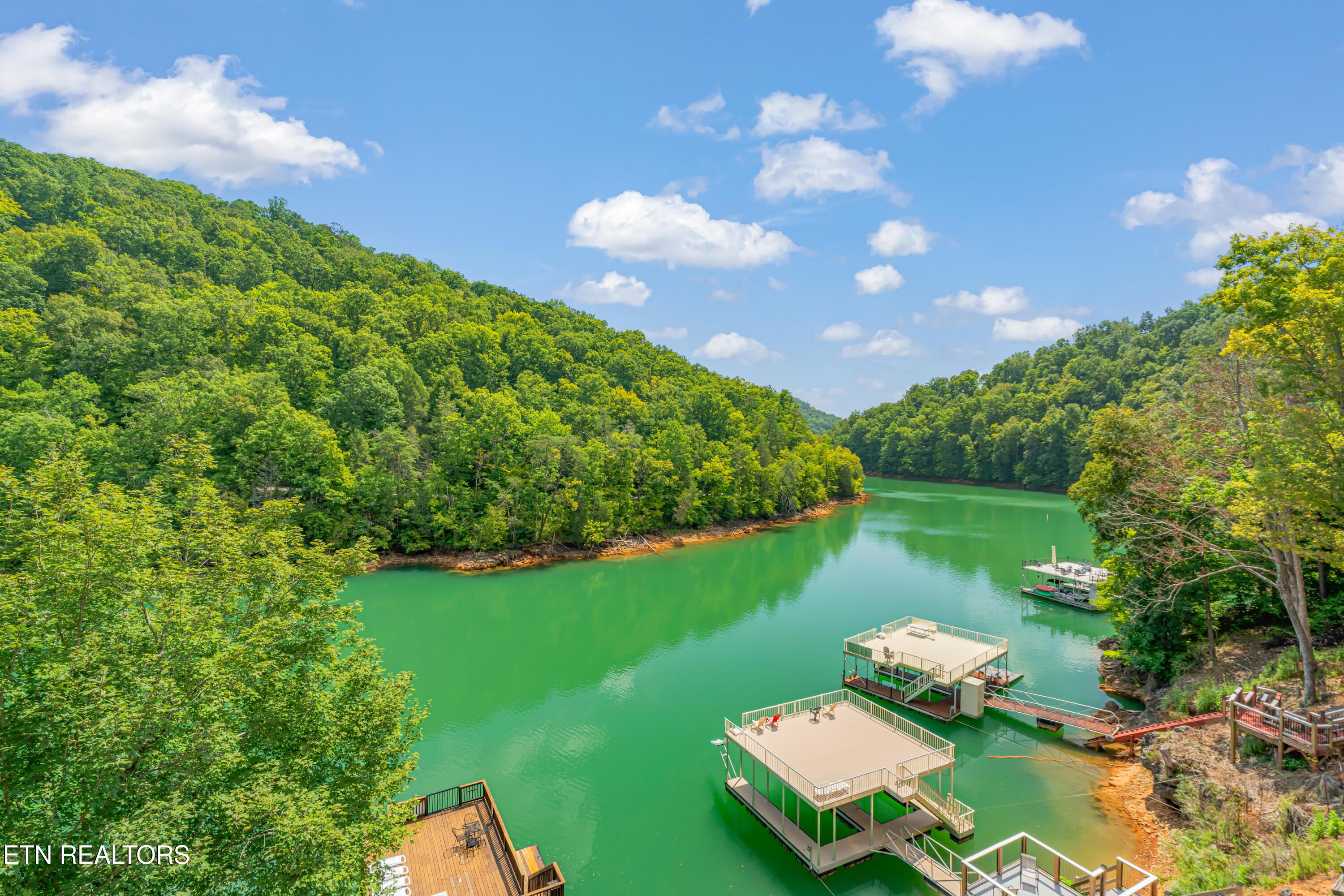 Norris Lake Real Estate - Image# 57