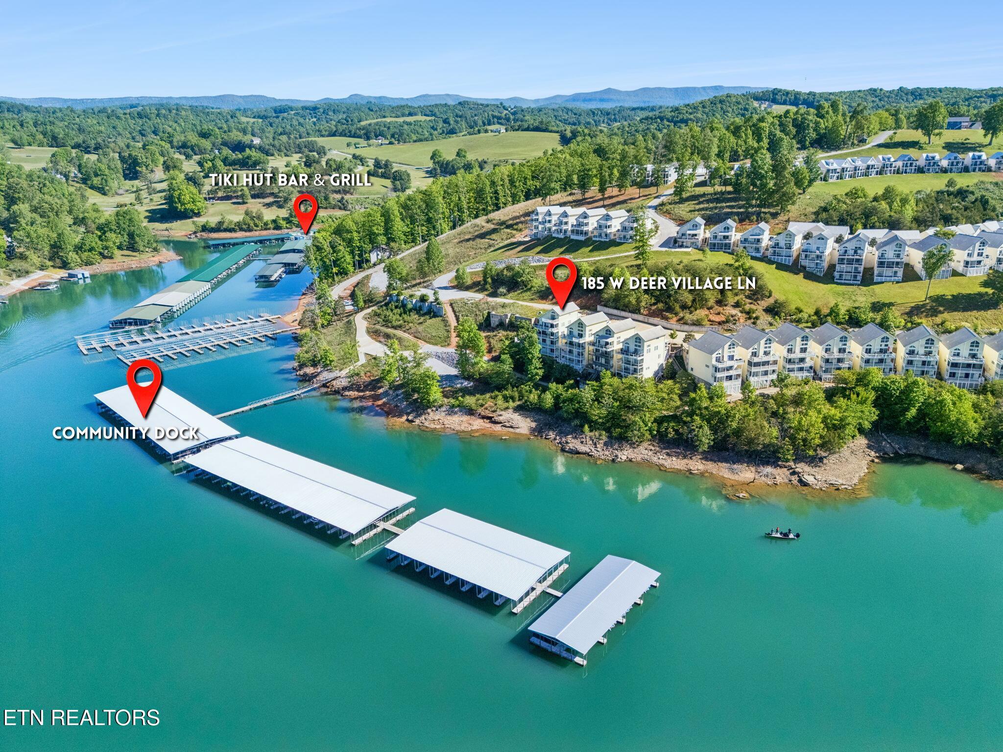 Norris Lake Real Estate - Image# 3