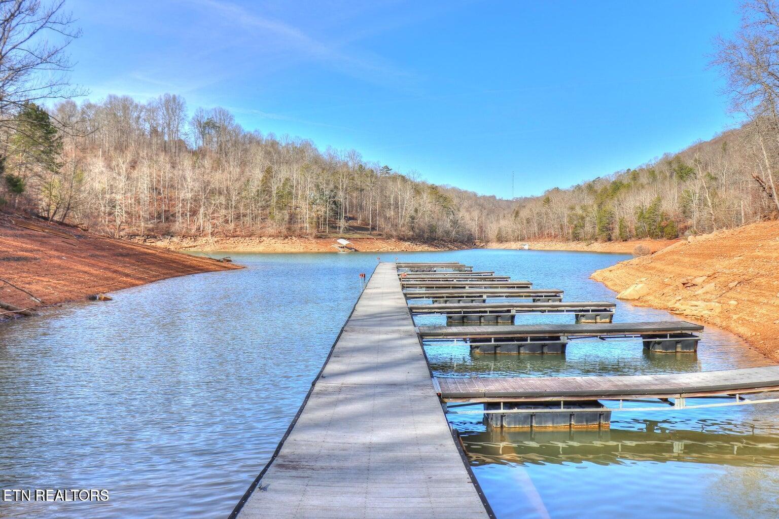 Norris Lake Real Estate - Image# 3