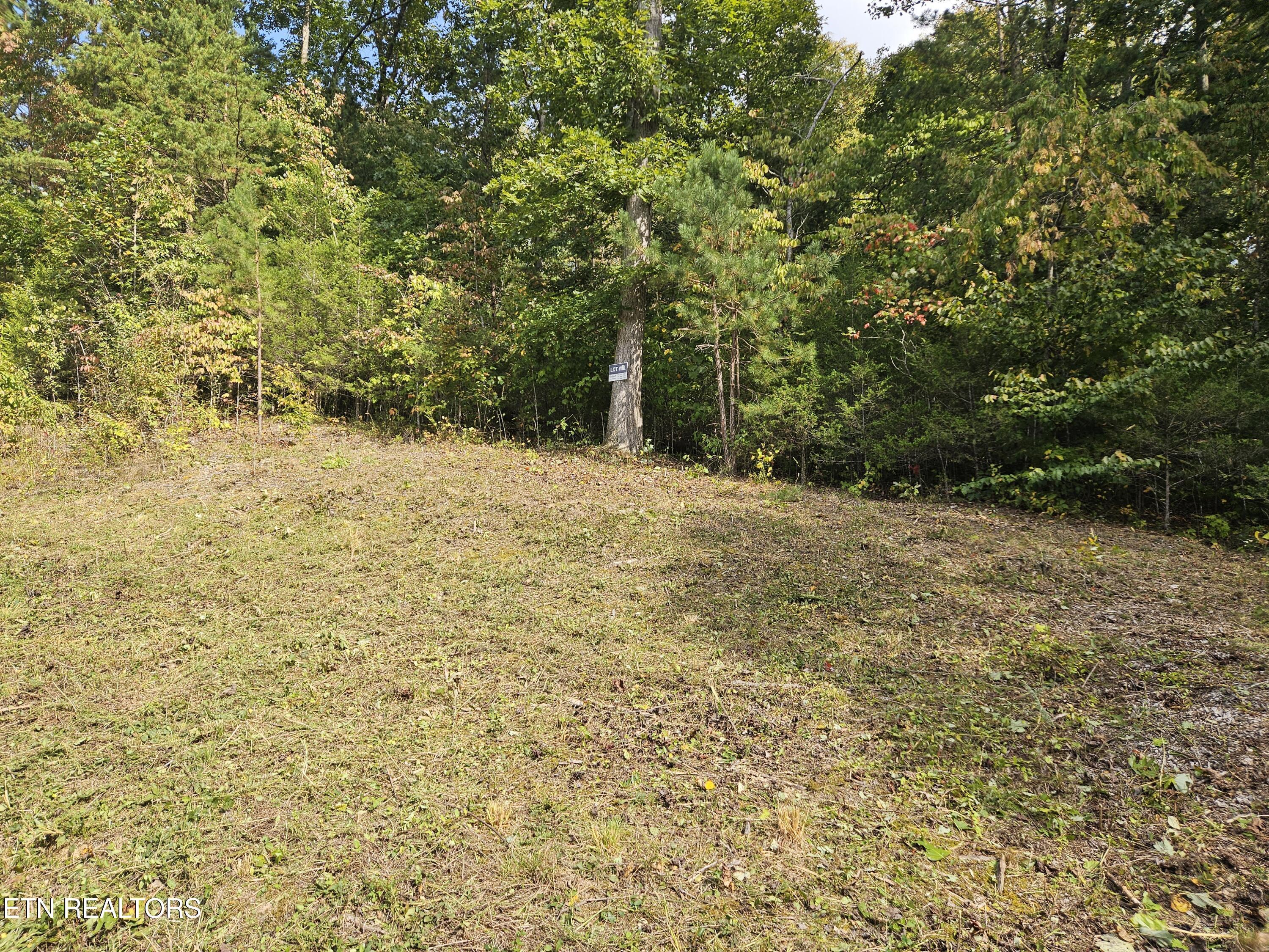 Lot 17 Saddleridge Drive, Speedwell, TN - Norris Lake Real Estate - Image# 2