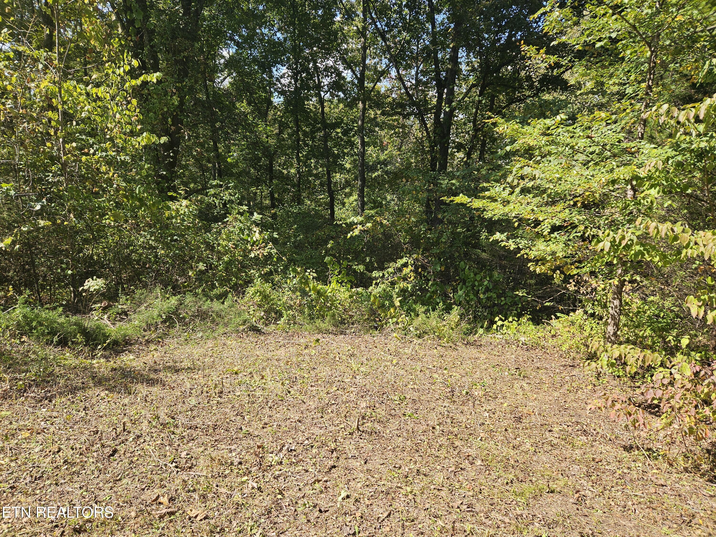Lot 17 Saddleridge Drive, Speedwell, TN - Norris Lake Real Estate - Image# 10