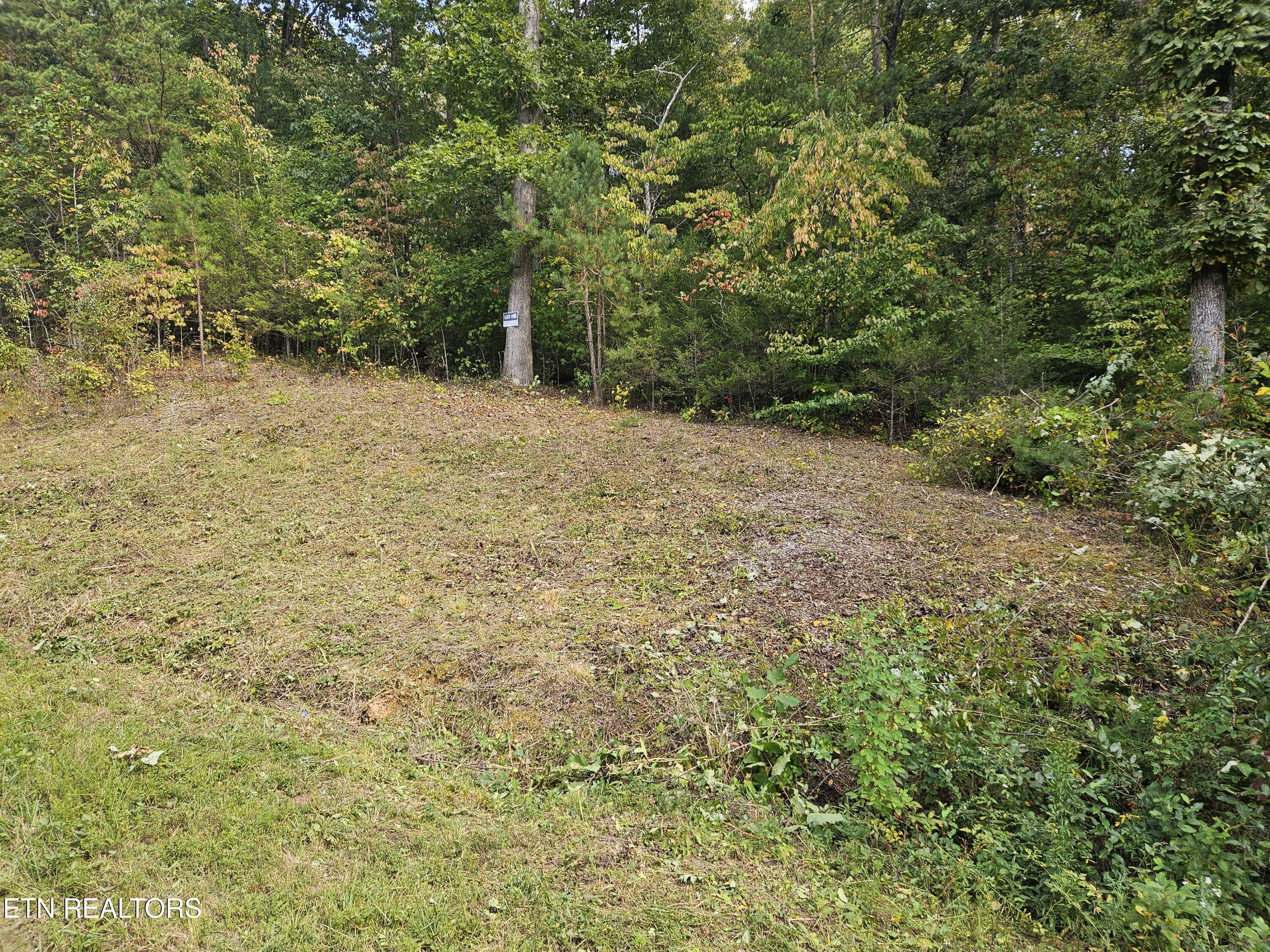 Lot 17 Saddleridge Drive, Speedwell, TN - Norris Lake Real Estate - Image# 5