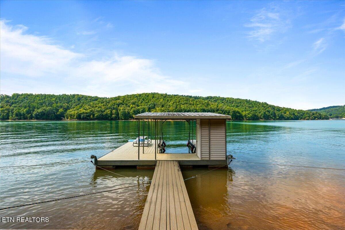 480 White Tail Lane, Lafollette, TN - Norris Lake Real Estate - Image# 6