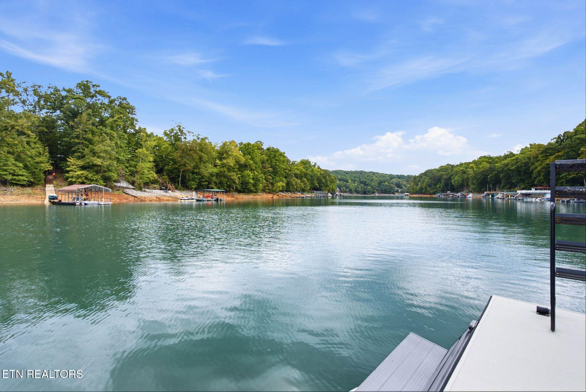 773 Yoakum Hollow Rd, Jacksboro, TN - Norris Lake Real Estate - Image# 5