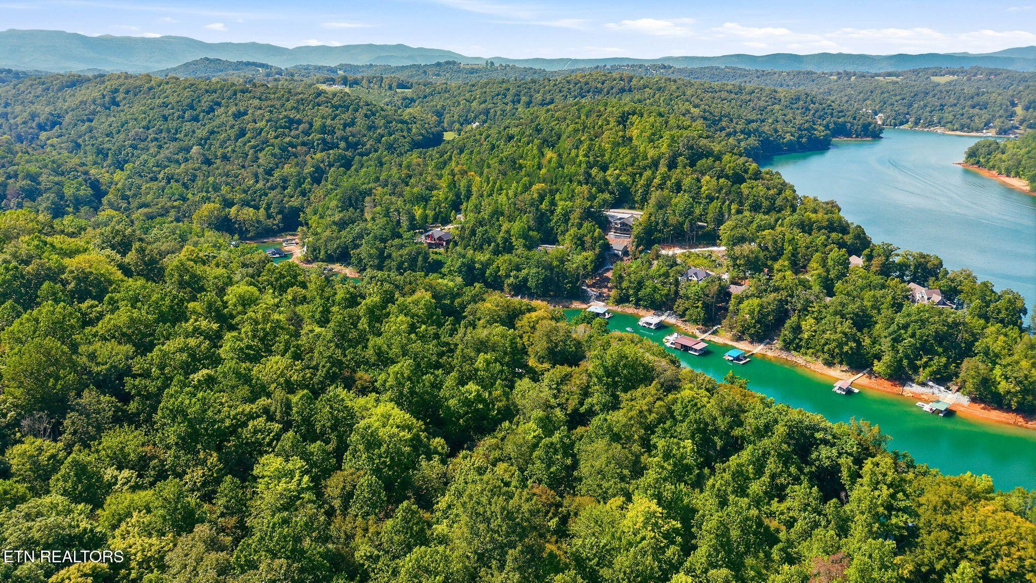 773 Yoakum Hollow Rd, Jacksboro, TN - Norris Lake Real Estate - Image# 41