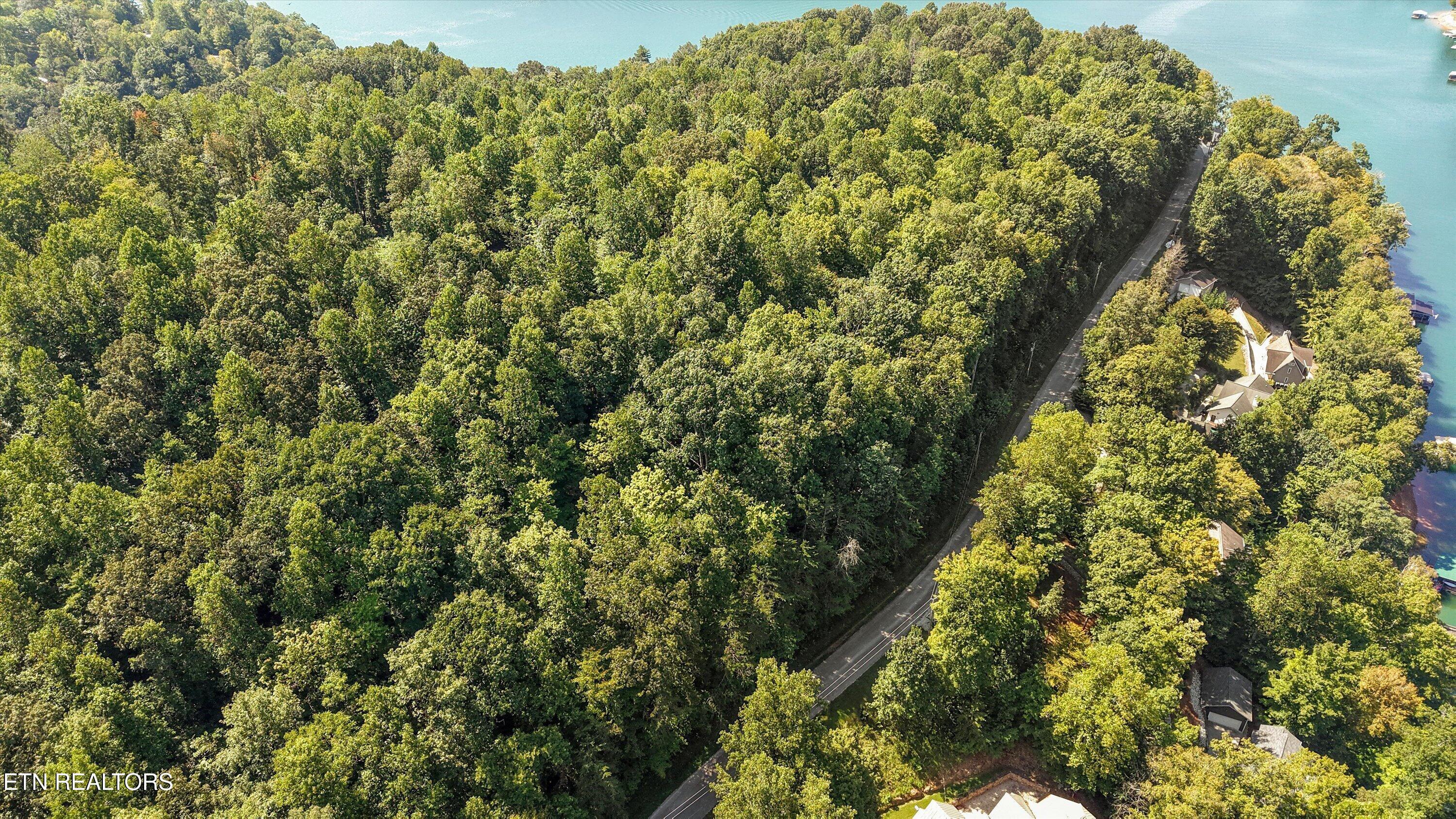 Norris Lake Real Estate - Image# 6