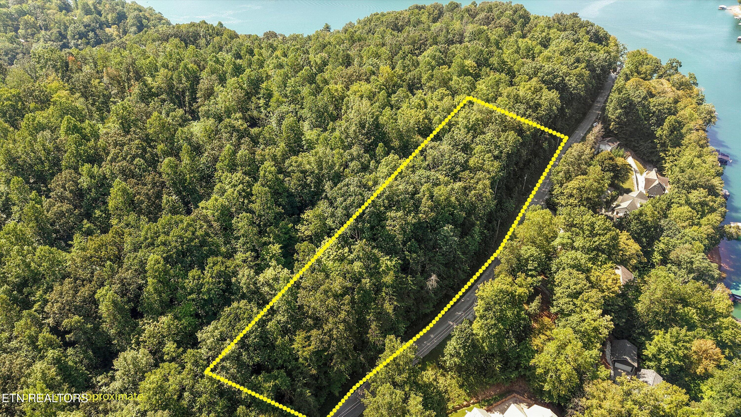 Norris Lake Real Estate - Image# 1