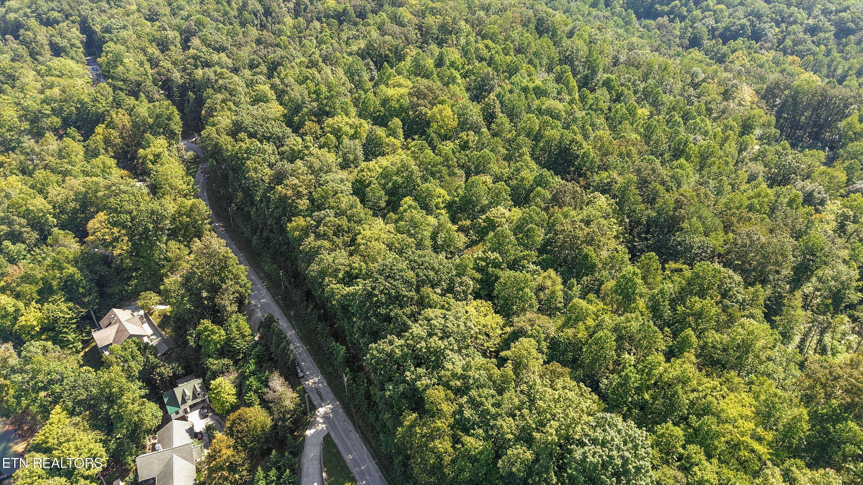 Norris Lake Real Estate - Image# 7