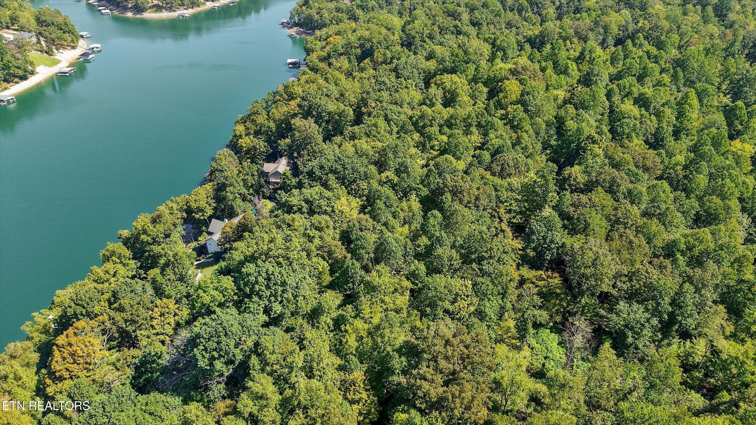 Norris Lake Real Estate - Image# 4