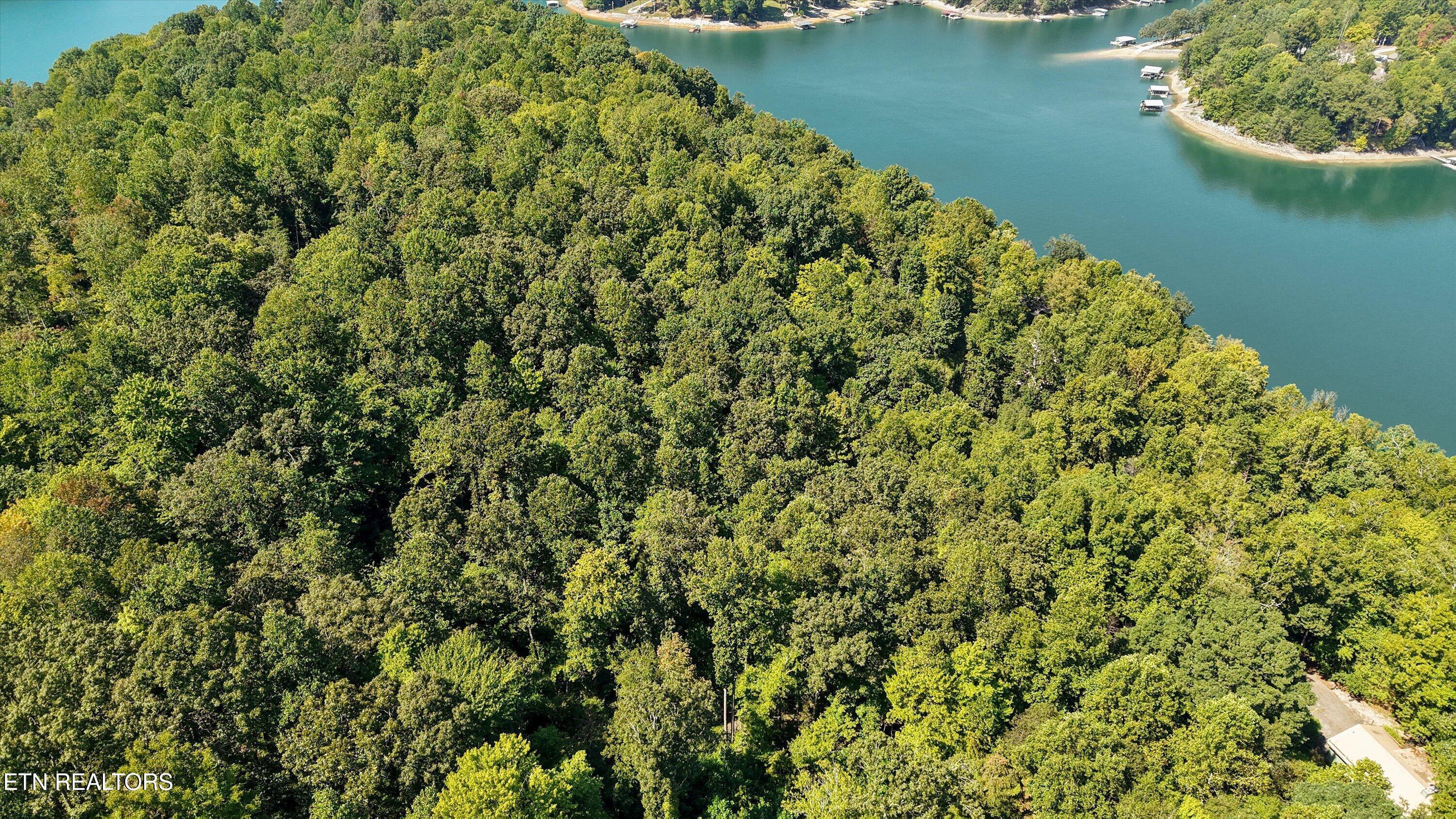 Norris Lake Real Estate - Image# 8