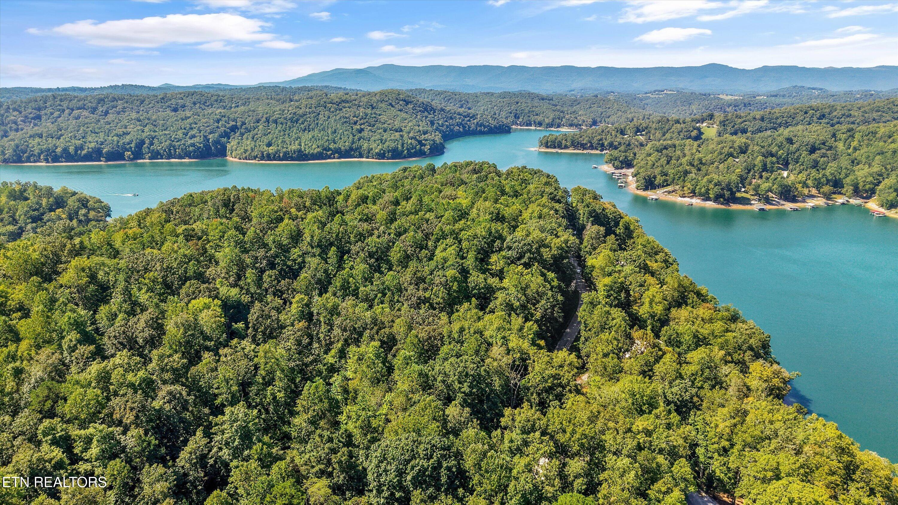 Norris Lake Real Estate - Image# 9