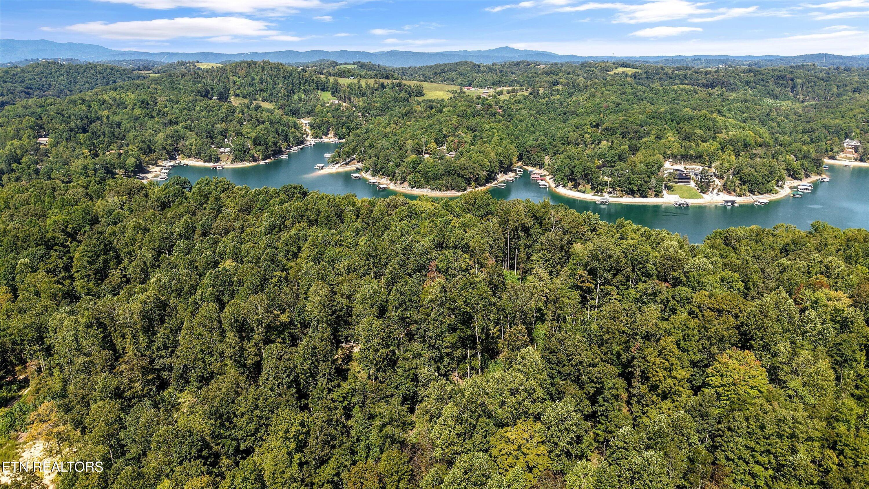 Norris Lake Real Estate - Image# 5