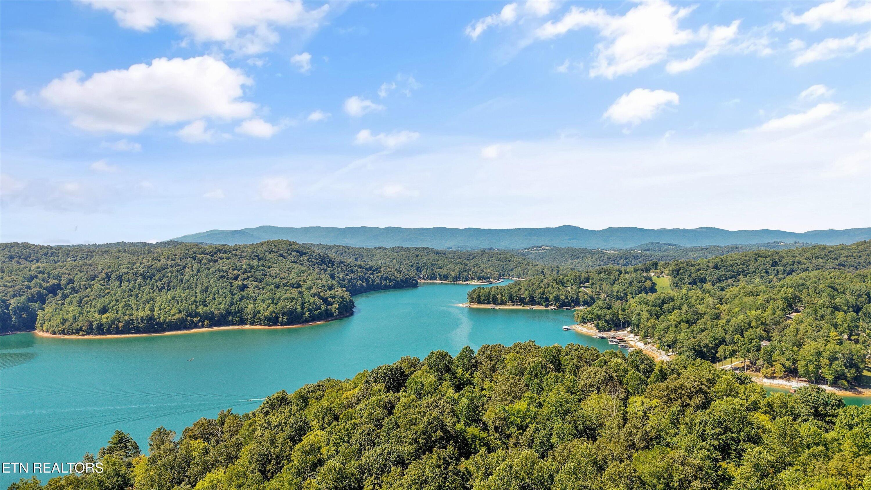 Norris Lake Real Estate - Image# 10