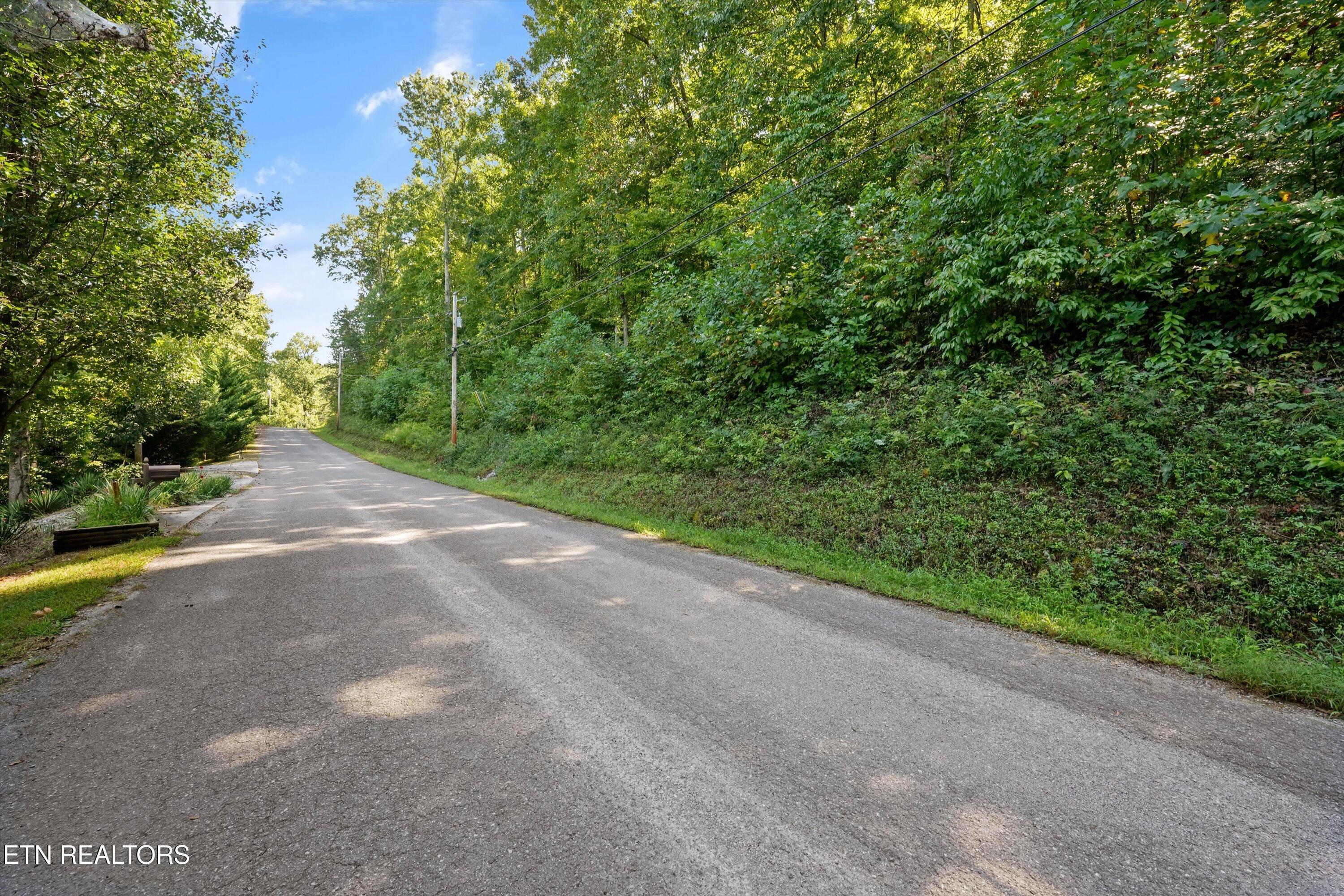 Norris Lake Real Estate - Image# 3