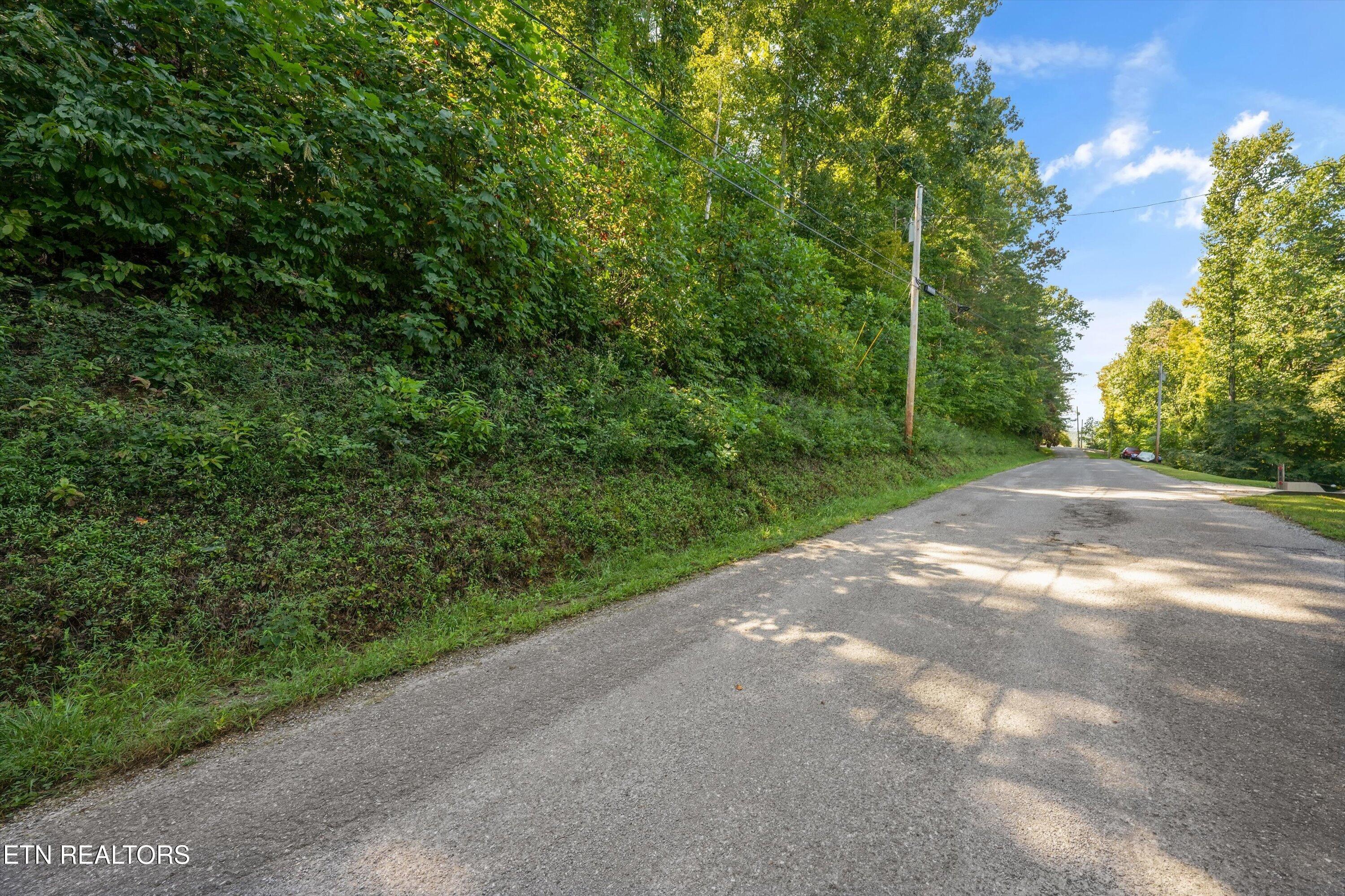 Norris Lake Real Estate - Image# 13