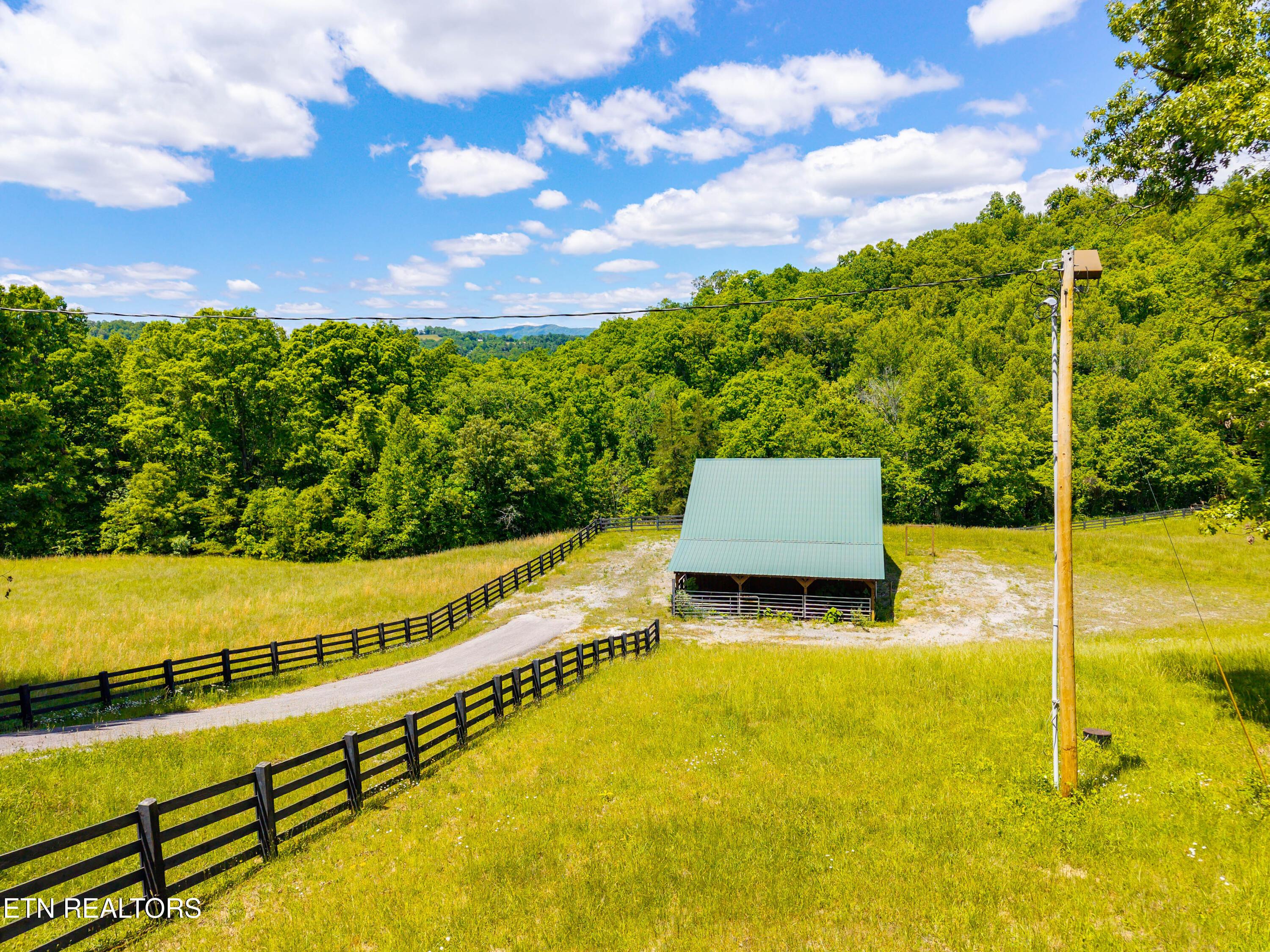 Norris Lake Real Estate - Image# 4