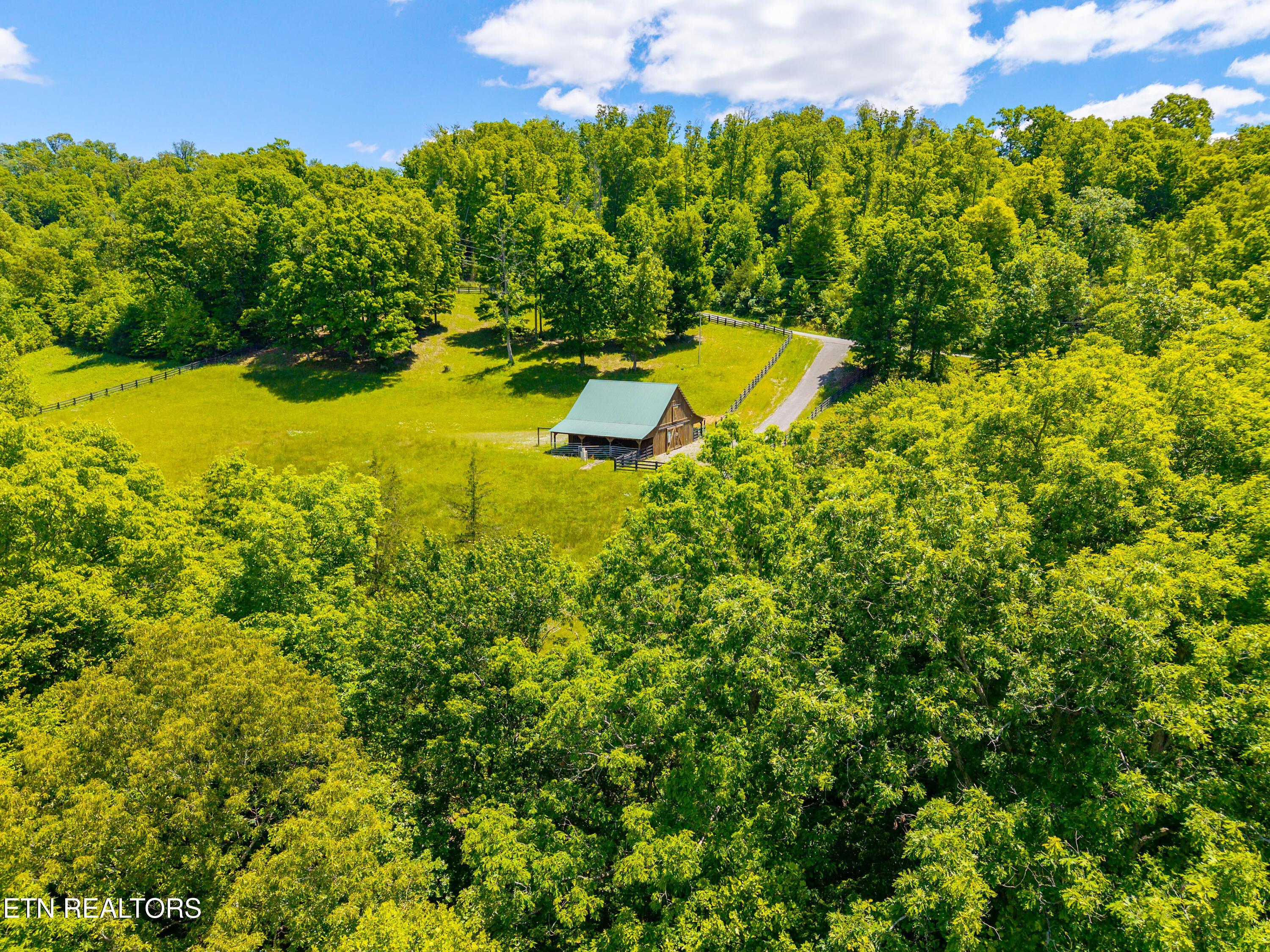 Norris Lake Real Estate - Image# 9