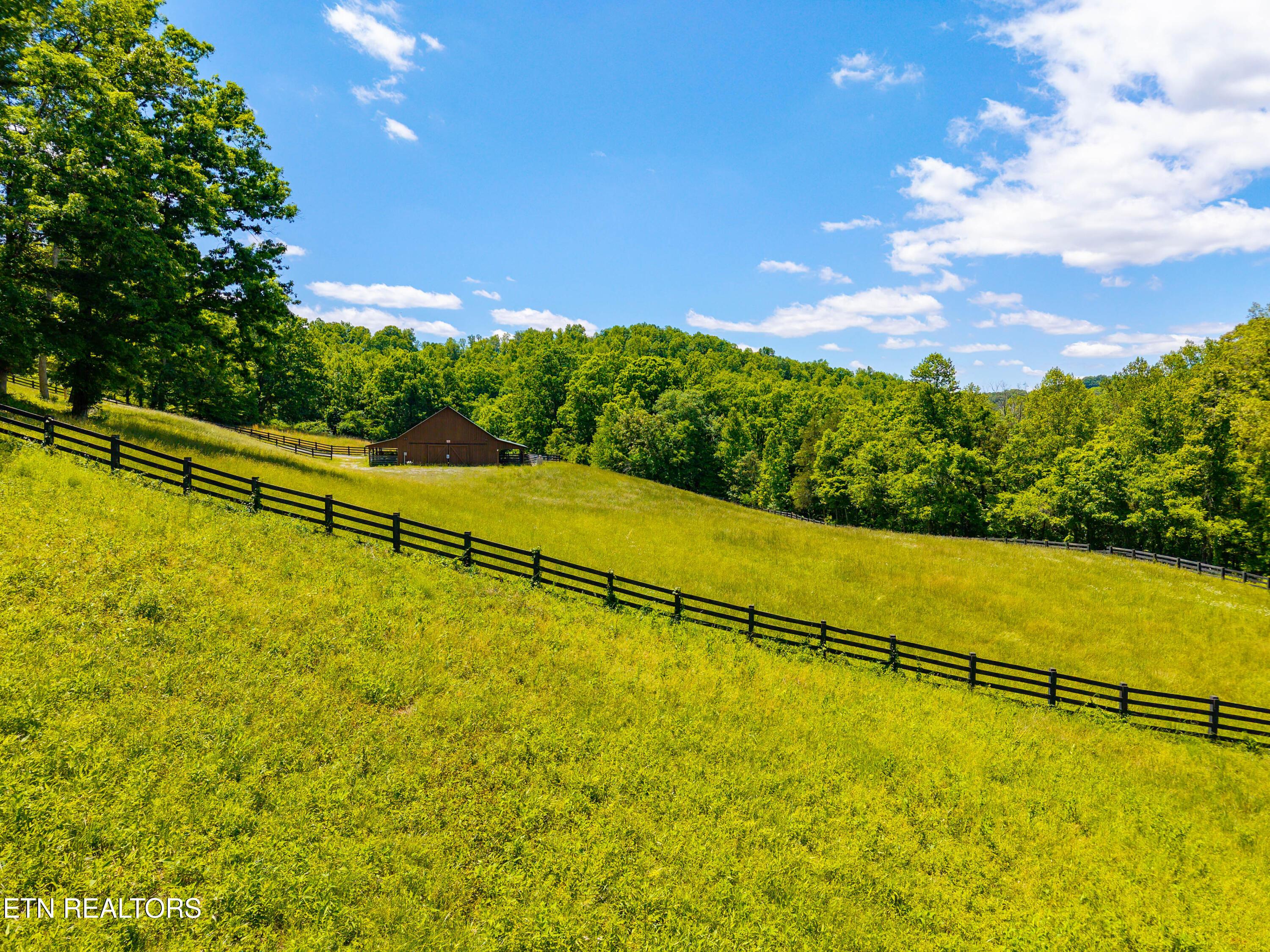 Norris Lake Real Estate - Image# 10