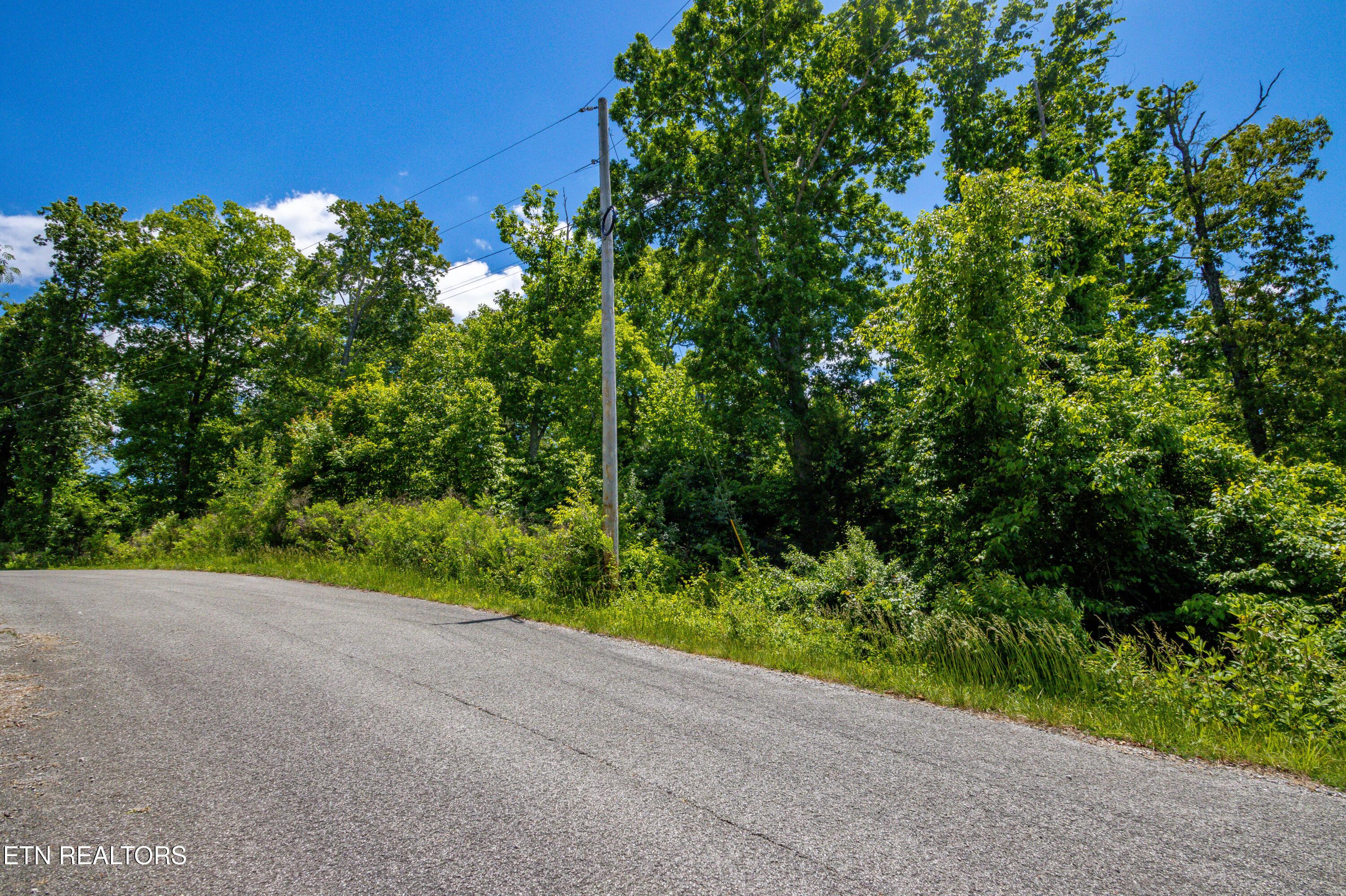 Norris Lake Real Estate - Image# 2