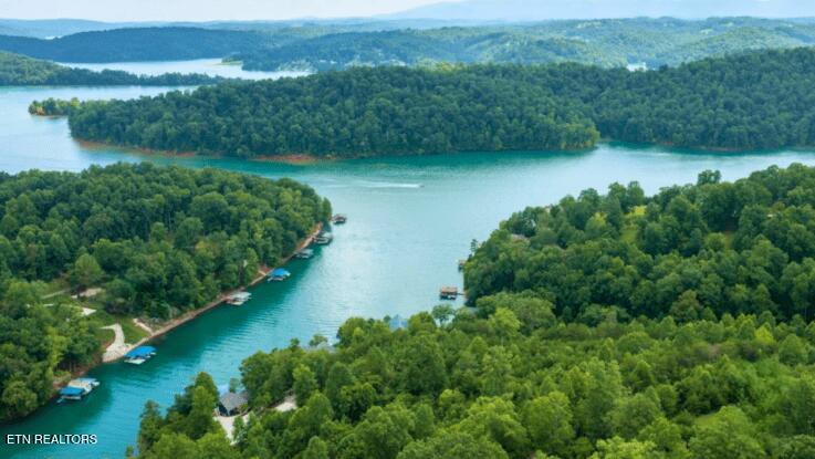Norris Lake Real Estate - Image# 2
