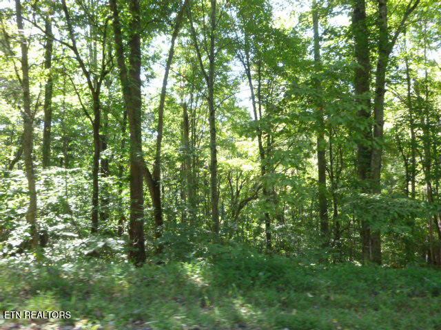 Norris Lake Real Estate - Image# 3