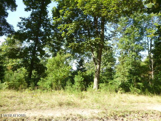 Norris Lake Real Estate - Image# 4