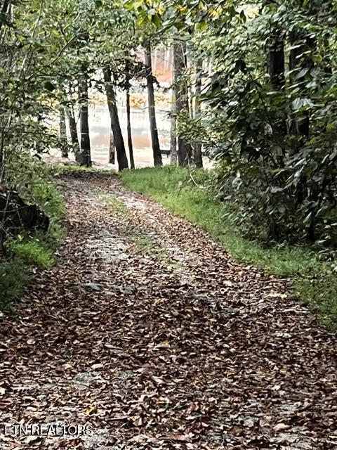Norris Lake Real Estate - Image# 4