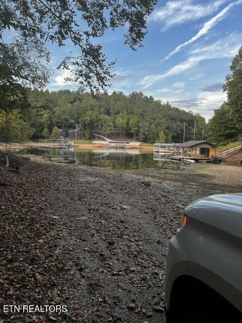 Norris Lake Real Estate - Image# 1
