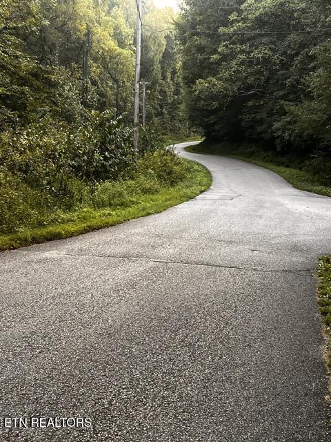 Norris Lake Real Estate - Image# 7