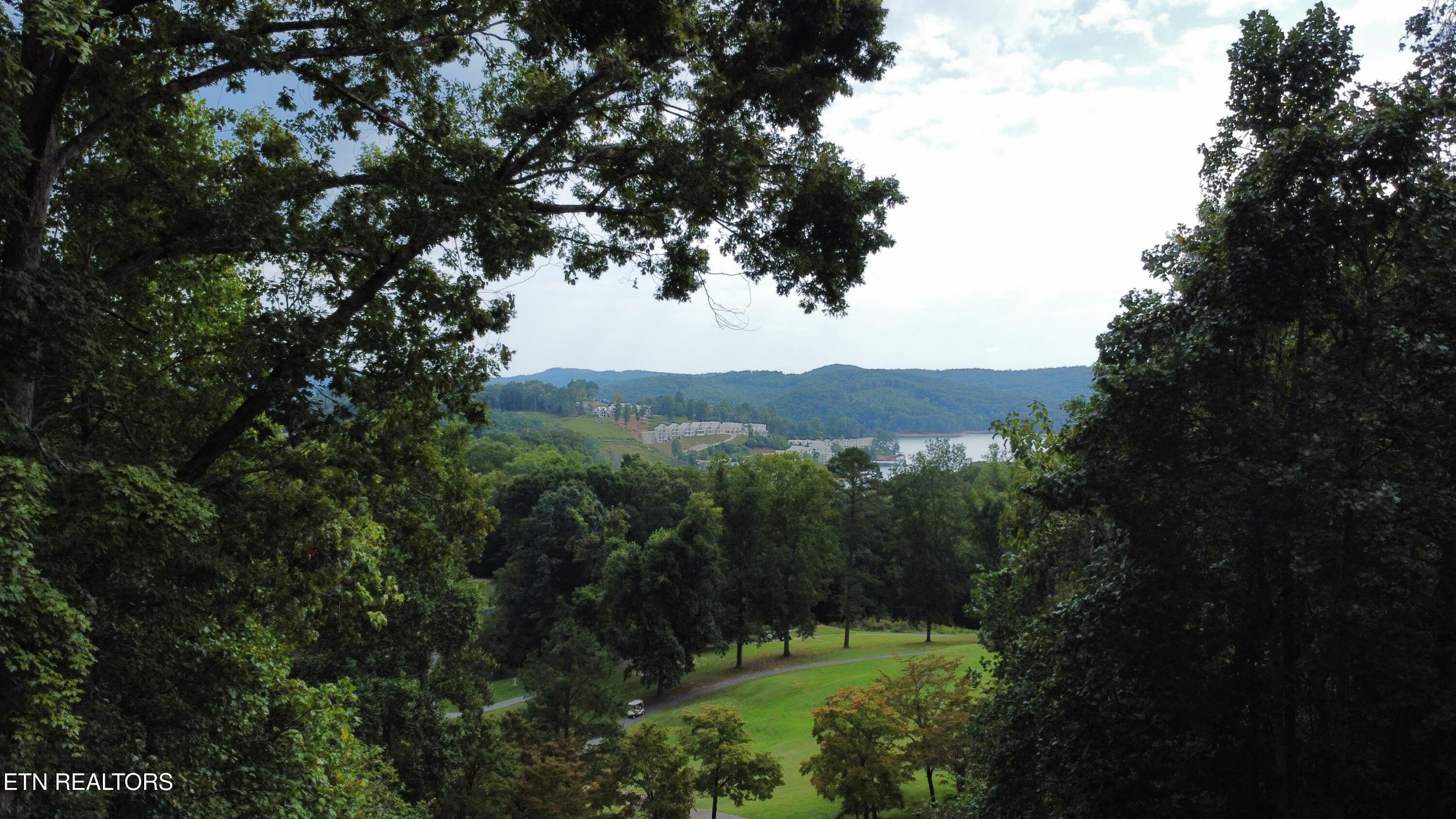 Norris Lake Real Estate - Image# 1