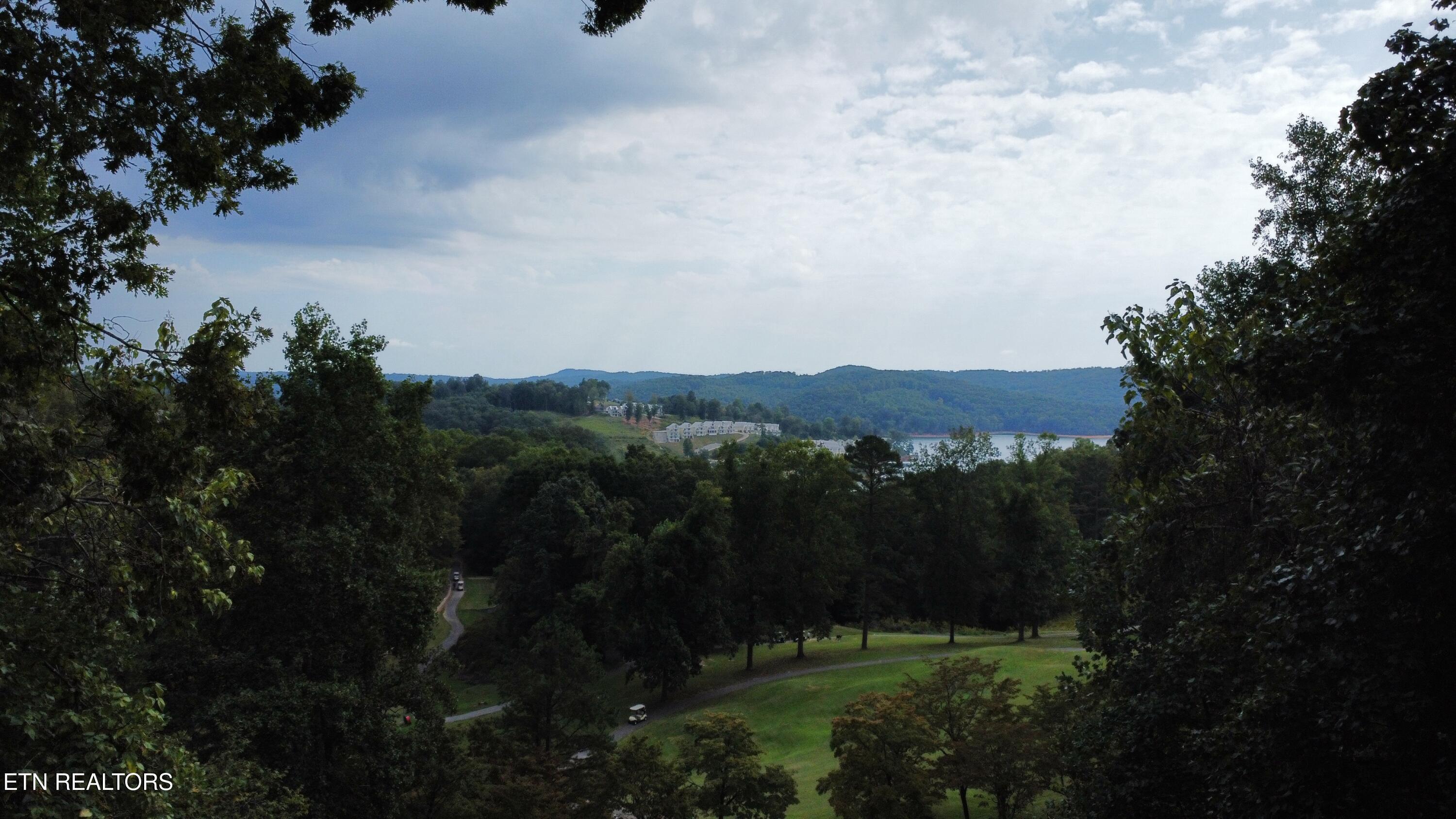 Norris Lake Real Estate - Image# 2