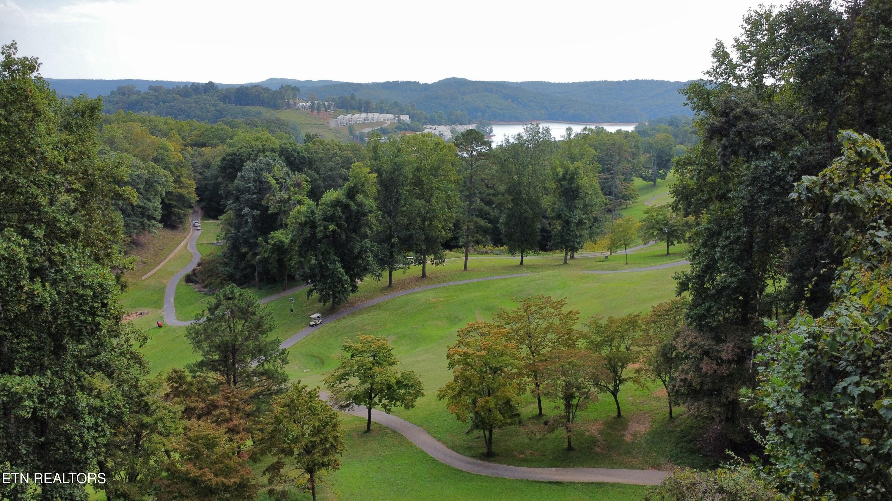 Norris Lake Real Estate - Image# 3