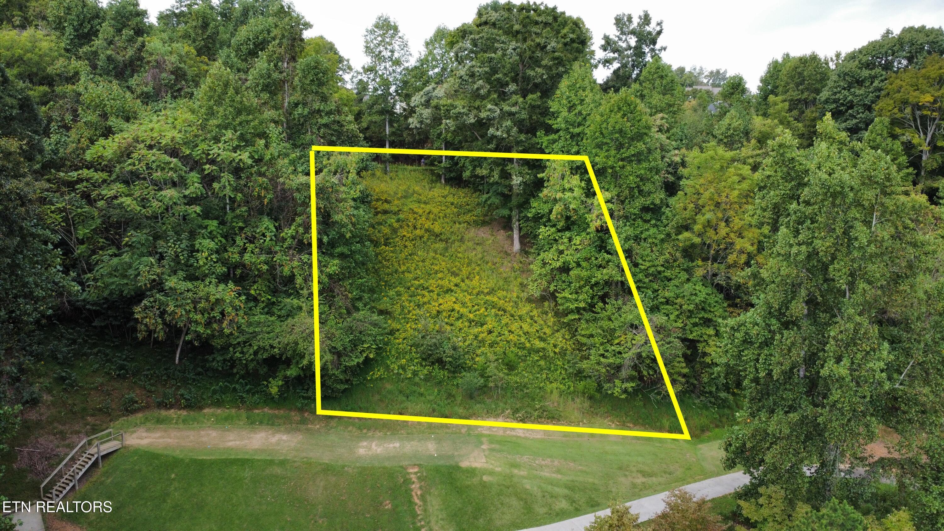 Norris Lake Real Estate - Image# 4