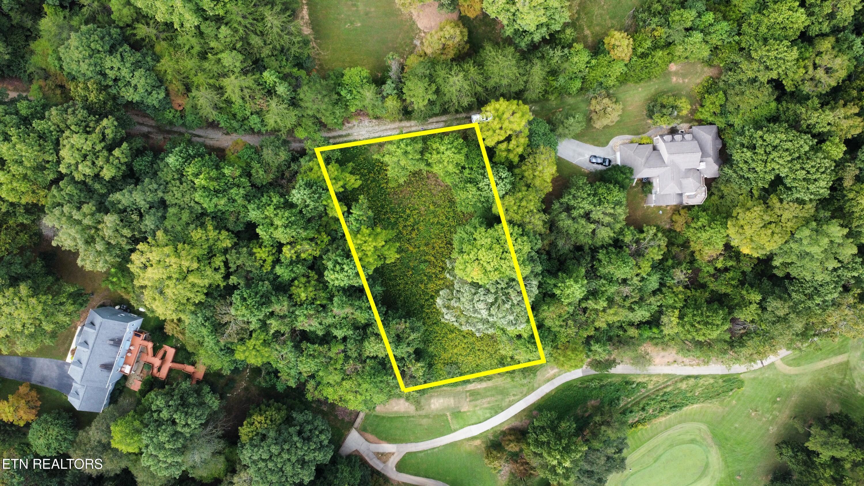 Norris Lake Real Estate - Image# 5
