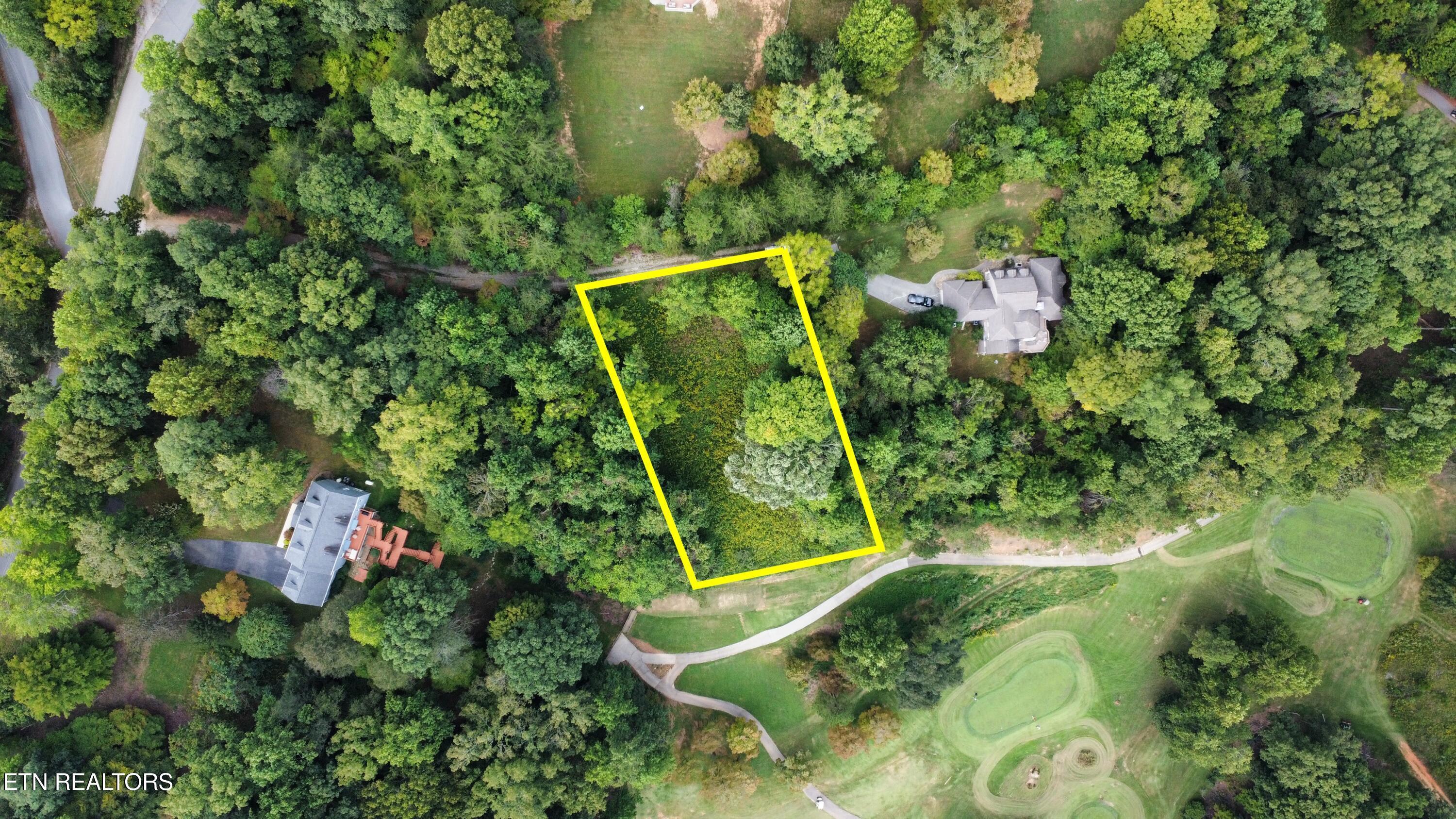 Norris Lake Real Estate - Image# 6