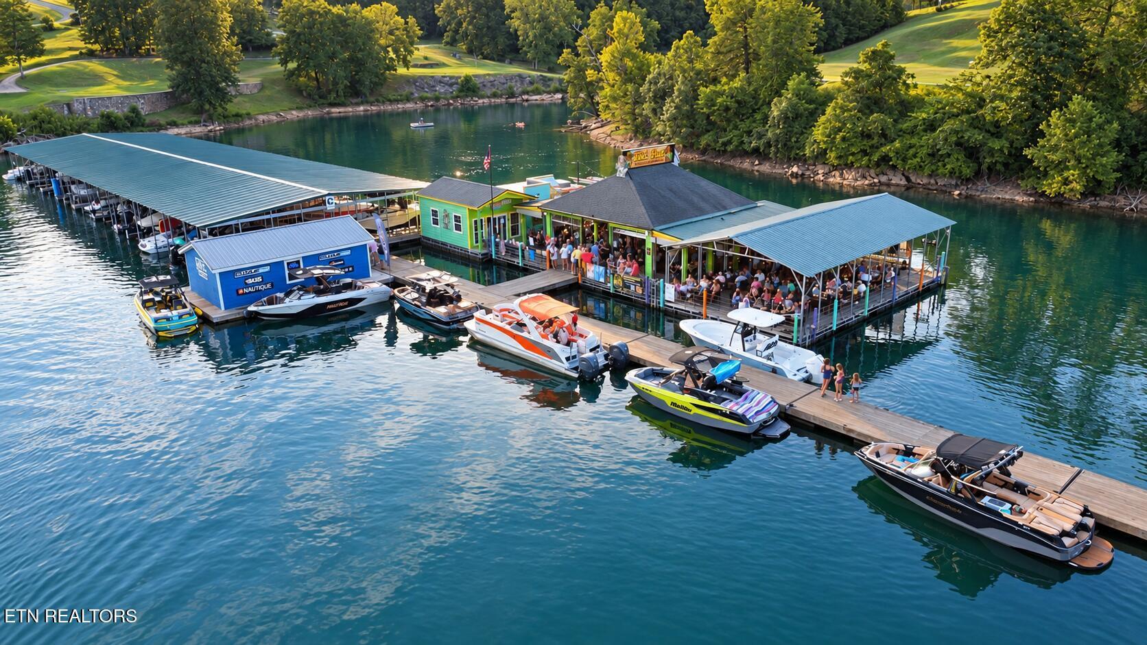 Norris Lake Real Estate - Image# 11