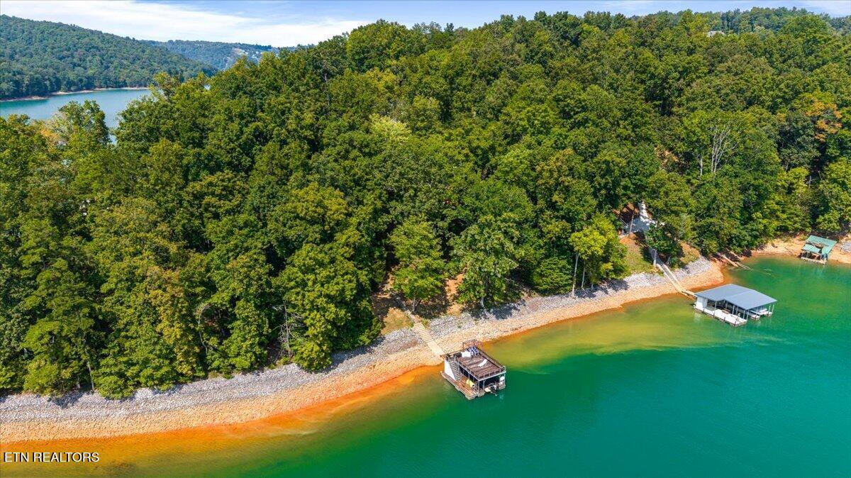 241 Deer Run Point, Lafollette, TN - Norris Lake Real Estate - Image# 12