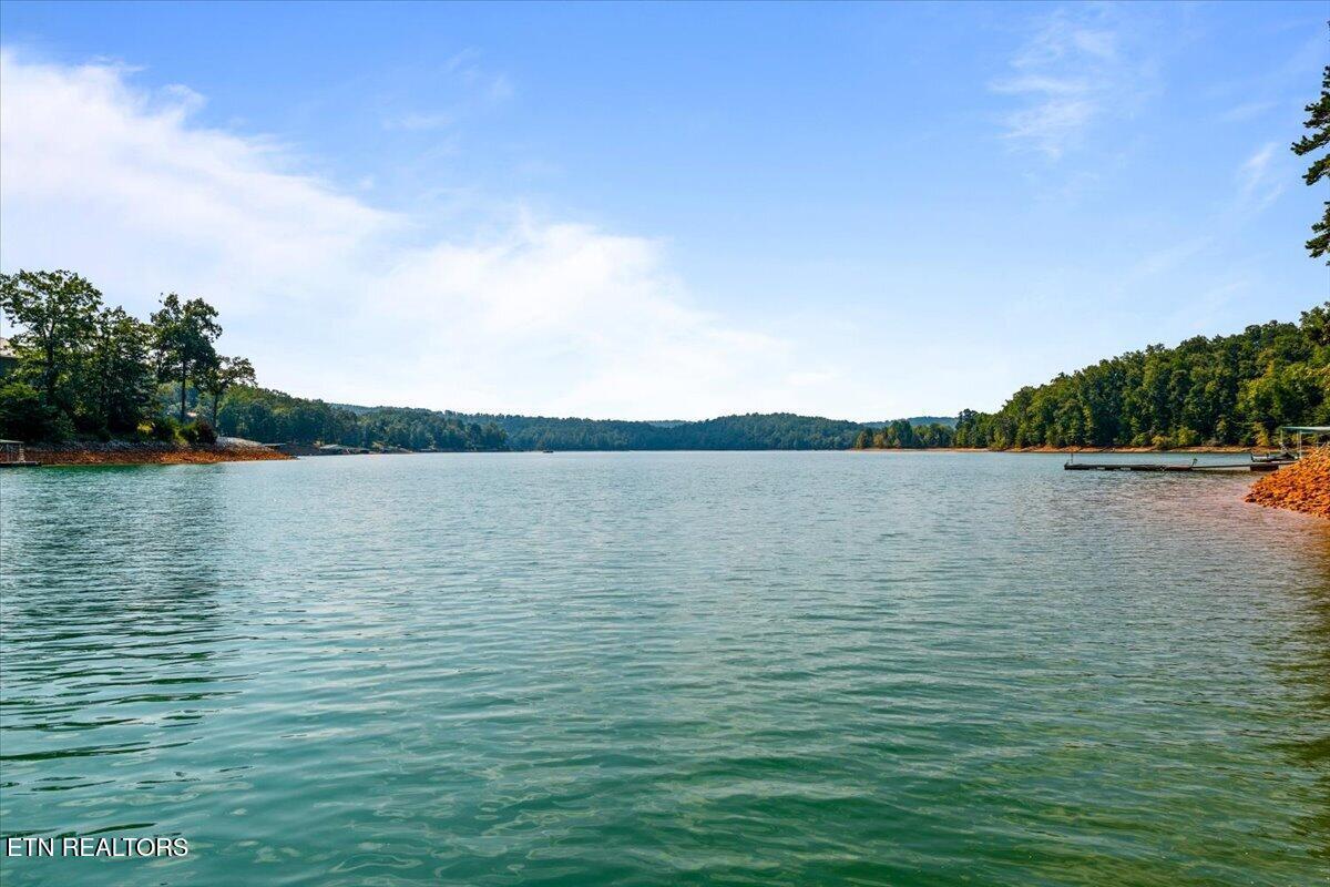 241 Deer Run Point, Lafollette, TN - Norris Lake Real Estate - Image# 36