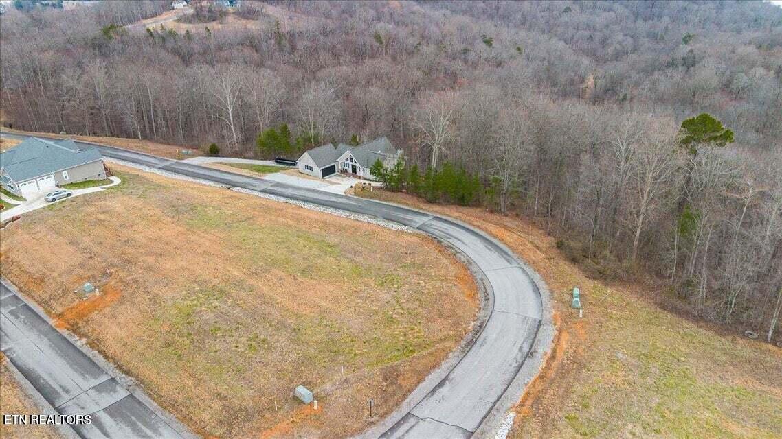 Norris Lake Real Estate - Image# 3