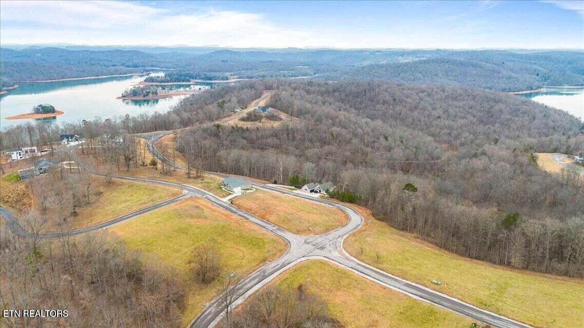 Norris Lake Real Estate - Image# 10