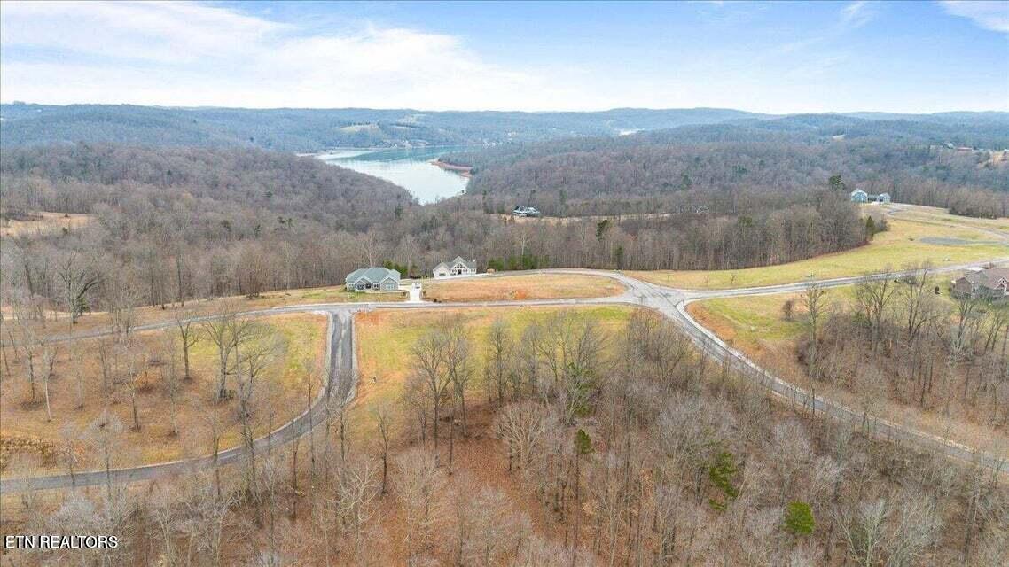 Norris Lake Real Estate - Image# 13
