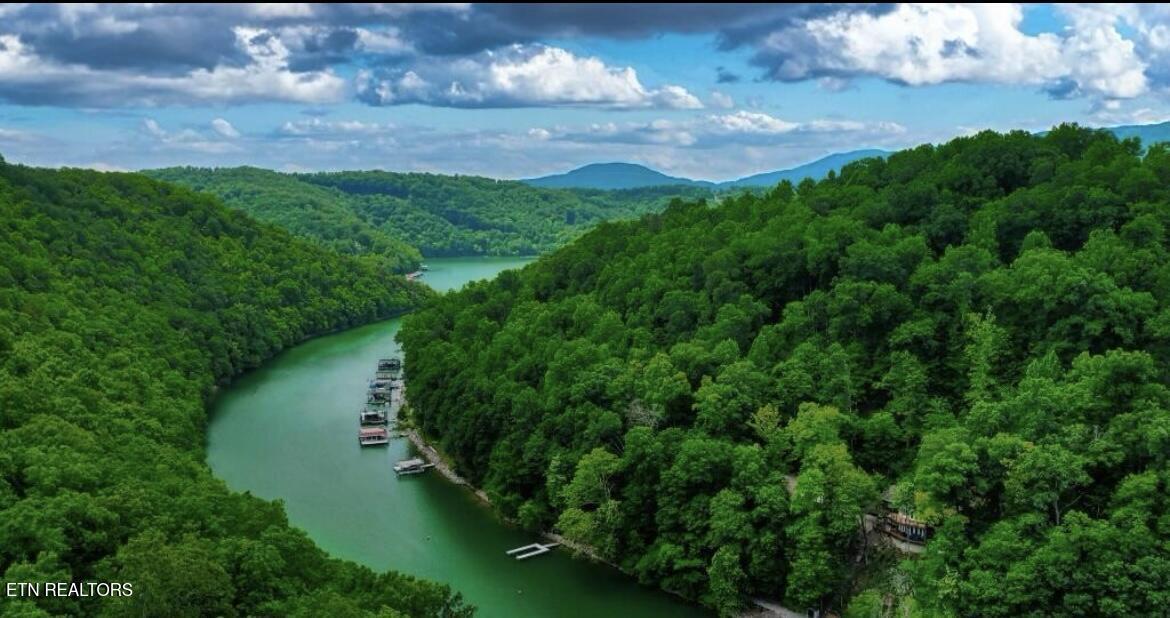Hiawatha Lane, Caryville, TN - Norris Lake Real Estate - Image# 1
