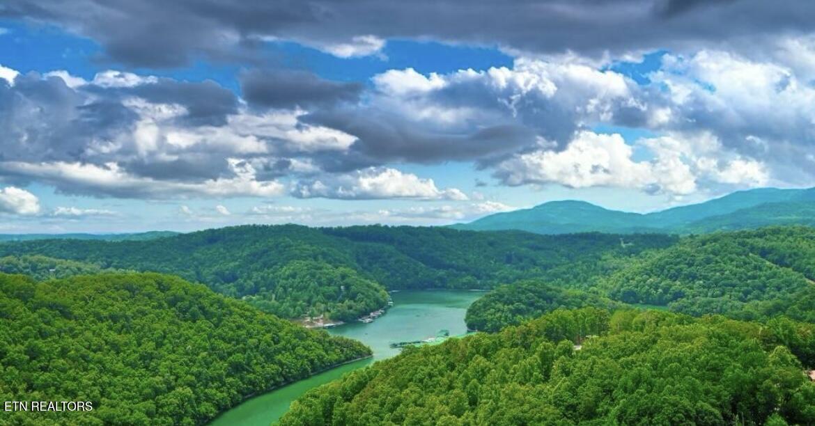 Hiawatha Lane, Caryville, TN - Norris Lake Real Estate - Image# 2